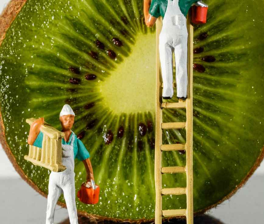 Maler, der –&nbsp;malíř