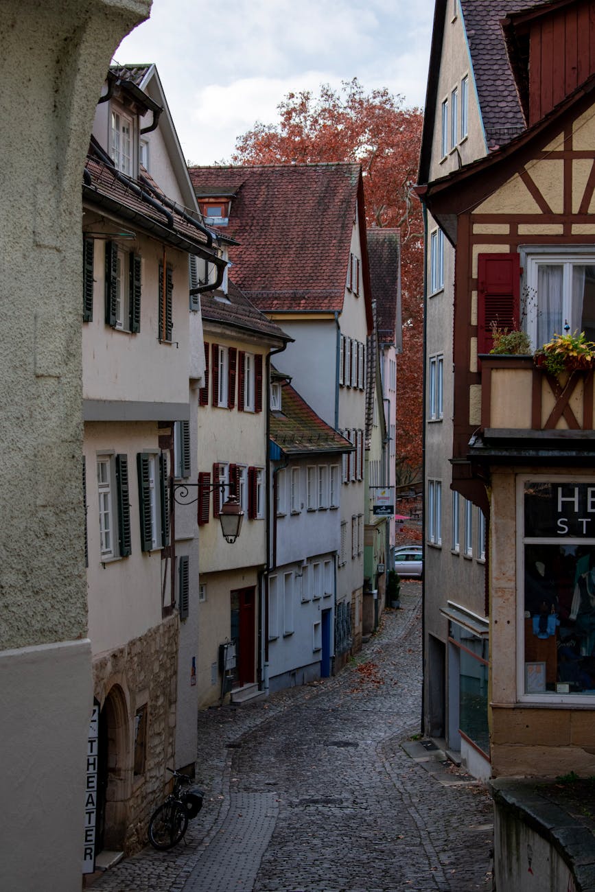 a cobblestone street in a city