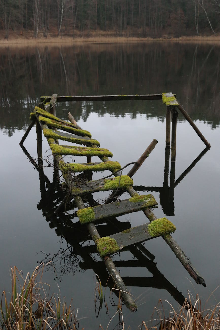 old mossy pier over still lake waters