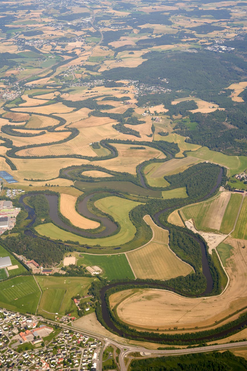 aerial view of green field