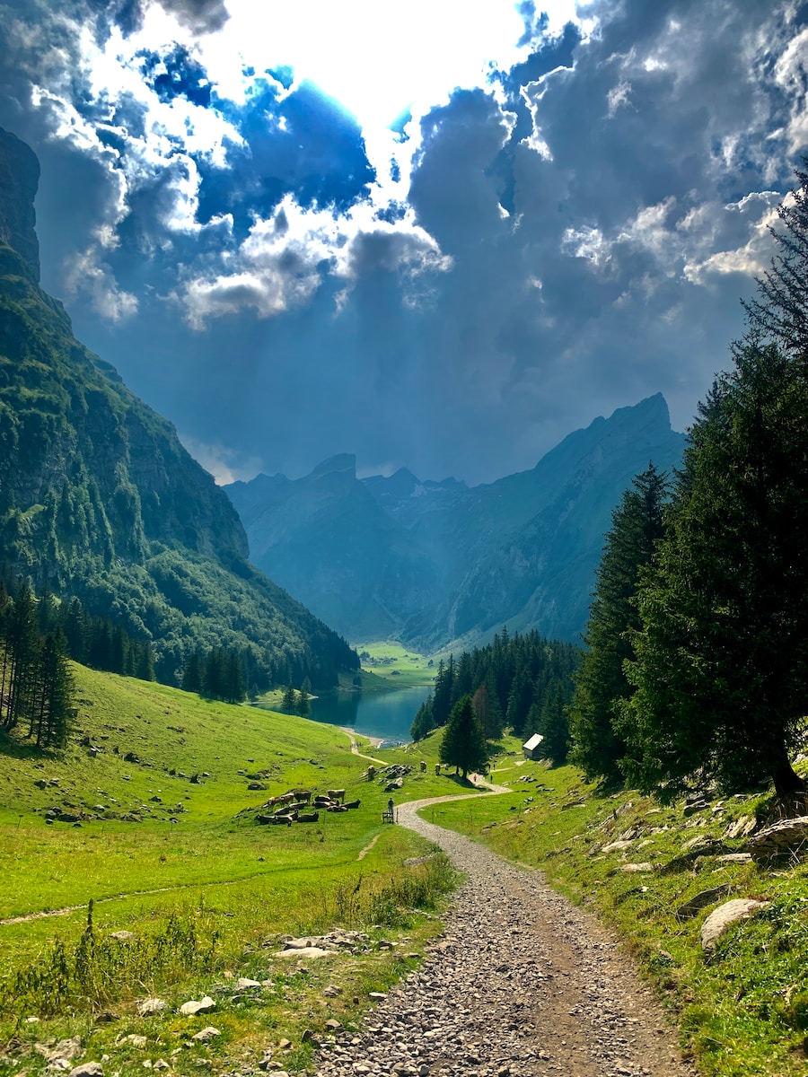 green grass field and trees under white clouds and blue sky during daytime