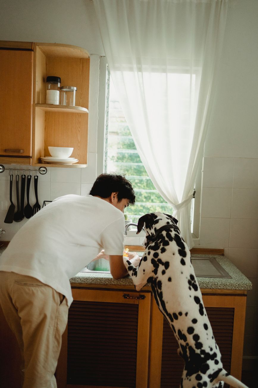 man with dalmatian dog in kitchen
